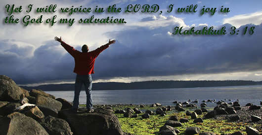 I-will-joy-in-the-God-of-my-salvation-w
