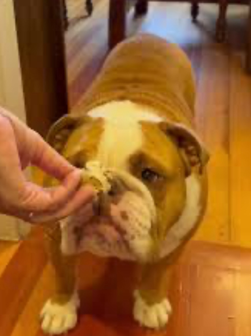 Embracing New Seasons