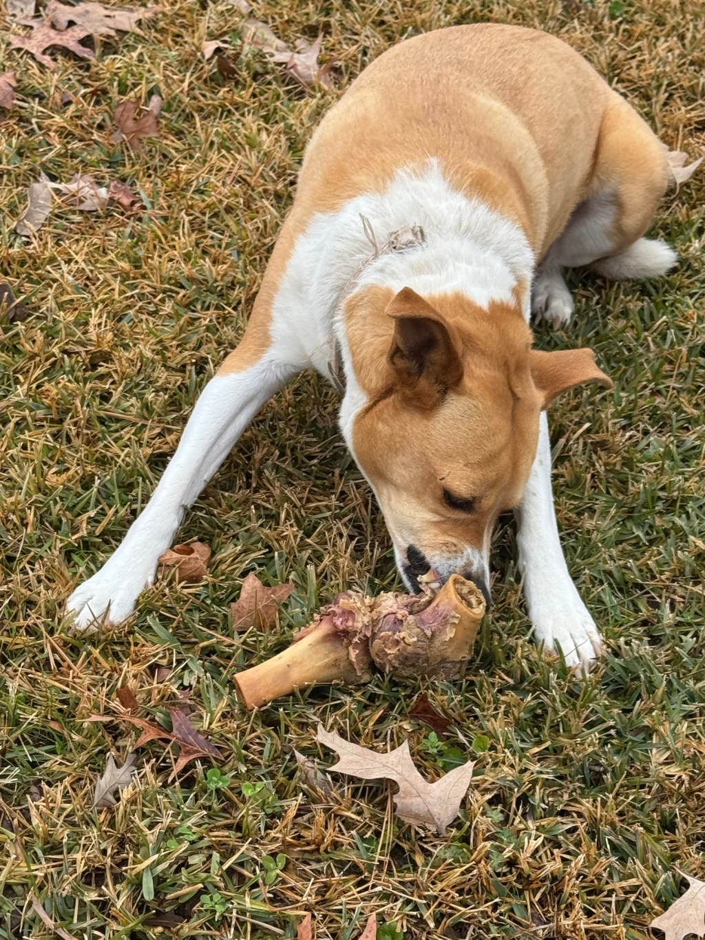 Are You Settling for&nbsp;Crumbs?