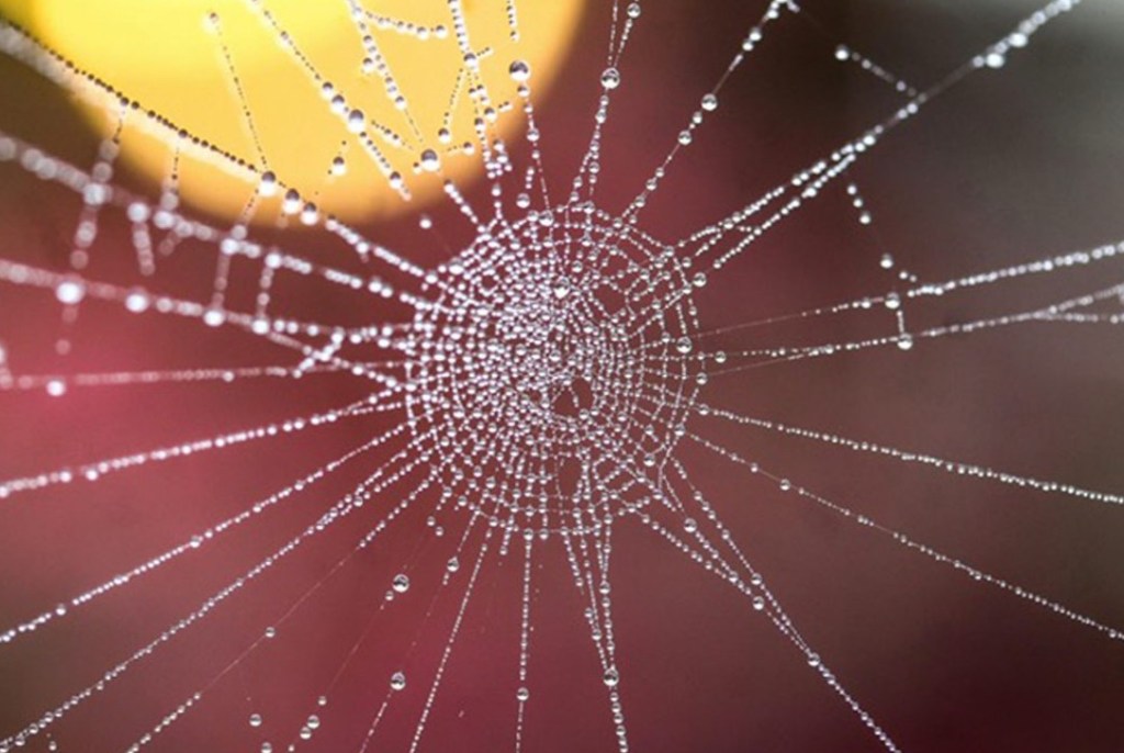 The Invisible Thread