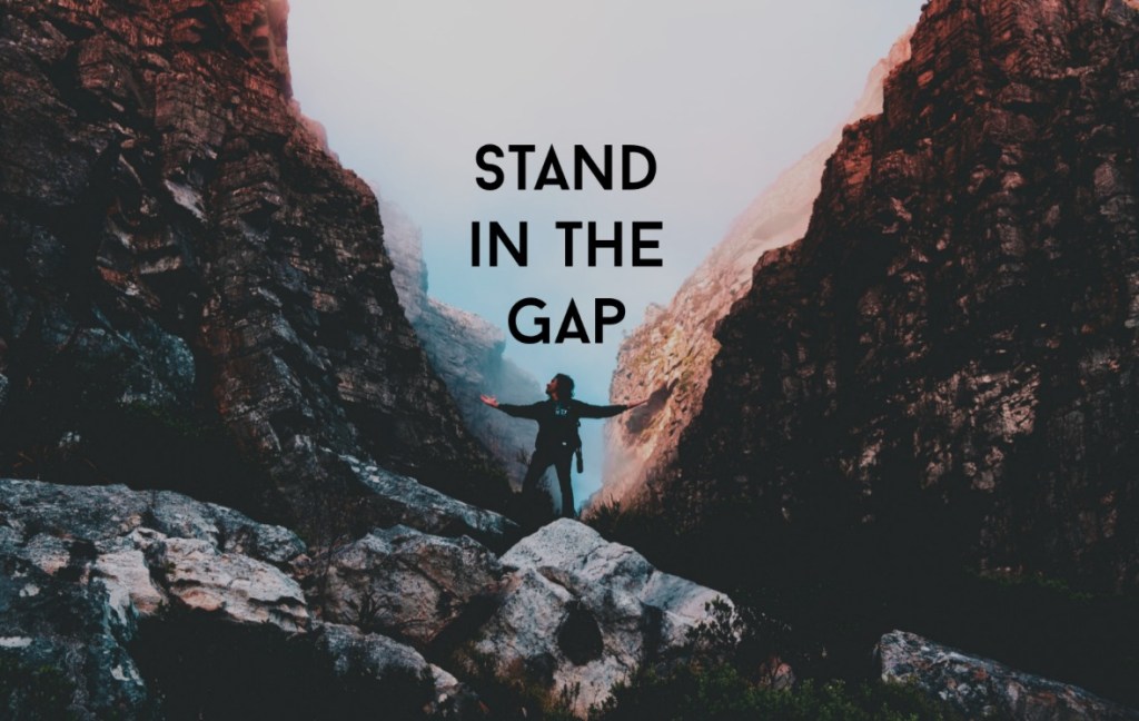 Stand in the Gap…or get out of the&nbsp;way?