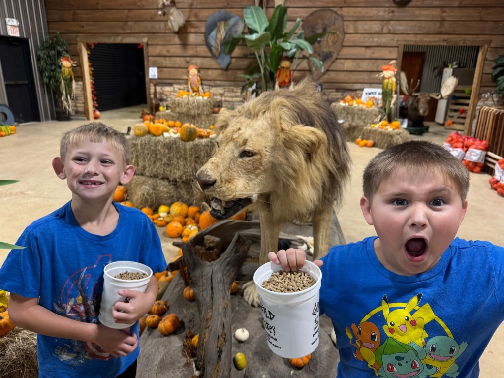 Hey Now, You’re an&nbsp;All-Star