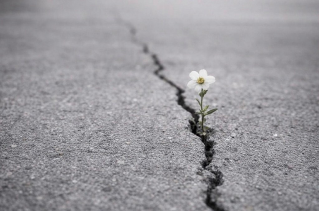 HOLDING JOY AND PAIN&nbsp;SIMULTANEOUSLY